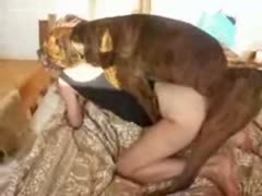Beastiality sex collection video featuring married couples